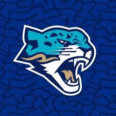 barys_official avatar