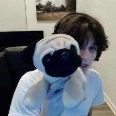 деф2елс🐾 avatar
