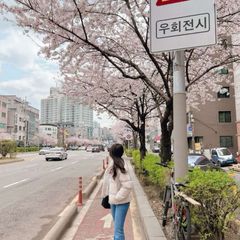 ˚ ﹡Korea🇰🇷﹡˚ avatar