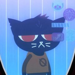 finik info avatar