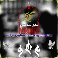 مولوی محمد یعقوب مجاهد avatar