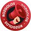 Channel ROZGOLOS 📢 ЗАХИЩАЄ avatar