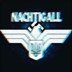 Nachtigall ✙ avatar