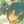 stories confession avatar