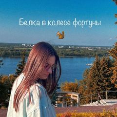 Белка в колесе фортуны avatar