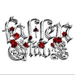 FALLENGRAVE avatar