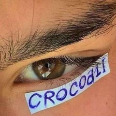 🐊𝐜𝐫𝐨𝐜𝐚𝐝𝐢𝐥🐊 avatar
