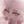 —✧. kwiiirr .✧— || 666+ avatar