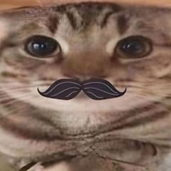 Мусорка Ебая avatar