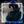 Storm Shadow BLOG avatar