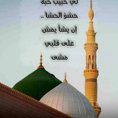 مِنْ أَنْوَارِ العَدْنَانِﷺ💚🍃 avatar