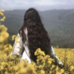 دشتِ گندمزارِ طلاییِ قلبَش :) avatar