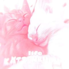 Закрыт!! 𝐊𝐚𝐭𝐳𝐞𝐧𝐛𝐮𝐜𝐡𝐭 || 𝐋𝐢𝐟𝐞 𝐂𝐡𝐚𝐧𝐧𝐞𝐥 🌸 avatar