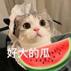 🍉 亚太吃瓜悬赏(曝光) avatar