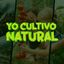 Aprende Cultivo Natural 👩‍🌾❤️👨‍🌾🍇🍉🥑🍌 Invernaderos, Permacultura, Agricultura y Ganadería 💛 Avatar