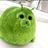 seals chat !!!