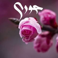 حوری avatar