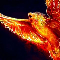 Phönix Aus Asche Auferstanden avatar