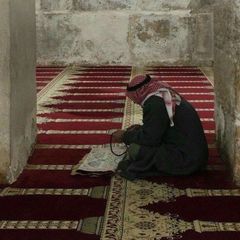 مًتٌجّر FOX avatar