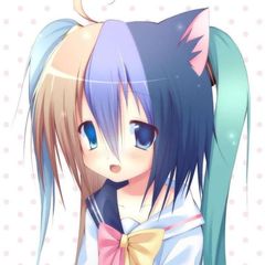 фукокос avatar