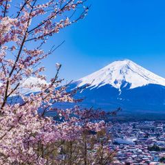 带你看日本 avatar