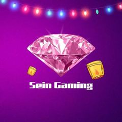 Sein Gaming avatar