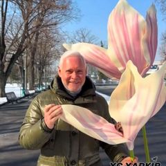 Цитати справжніх ХАРКІВ'ЯН avatar