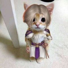 plnvid // polina avatar