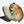 hamster confffession avatar