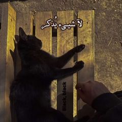 لآ شيء يُذكر avatar
