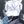 海豚 » Delfa | DOLPHN avatar