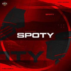 SpotyFi avatar