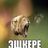 Фаэтоновские дела