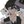 Complex CONFESSION>_< avatar