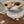 silly cats daily & cf avatar