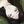 tffk avatar