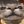 funny cats 𝘤𝘰𝘯𝘧𝘦𝘴𝘴𝘪𝘰𝘯 avatar