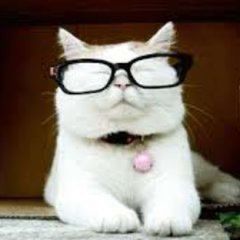 Catturd Fan Club avatar