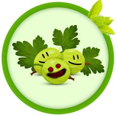 КРИНЖОВНИК avatar