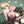 I LOVE MY PARENTS confession avatar
