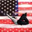 USA&RAP Avatar
