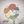 Flower garden game. avatar