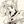Sailor Moon confession avatar