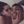 WS avatar