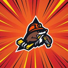 SHKOLA_SHAHTERA 🏒 avatar