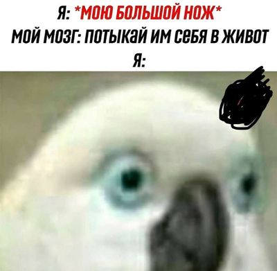 Post media