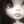 nikaworld okk avatar