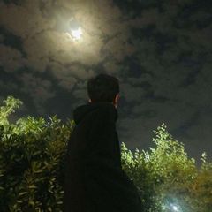 ꪖᖇꪜıꪀ 🍁‌ avatar