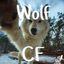 🐺⛰️ꅐꄲ꒒ꊰ ꉔꄲꋊꊰꏂꇙꇙ꒐ꄲꋊ🐺🏞️ | Wolf Confessions + Daily 🐺 Avatar