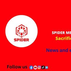 Spider Media avatar